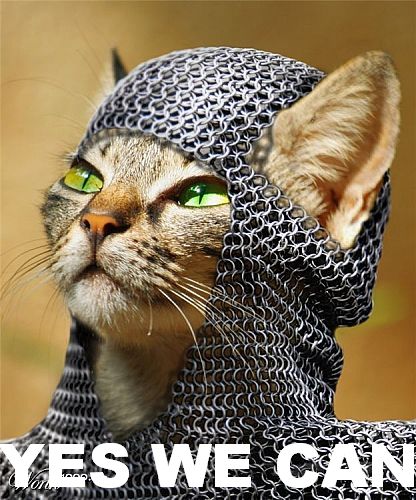 Yes we can