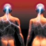 网众：人与人的连接